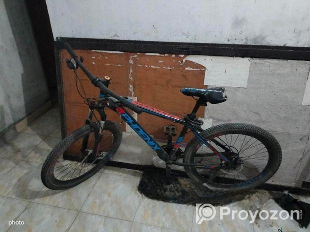 Phoenix Bicycle