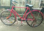 Bicycle for sale