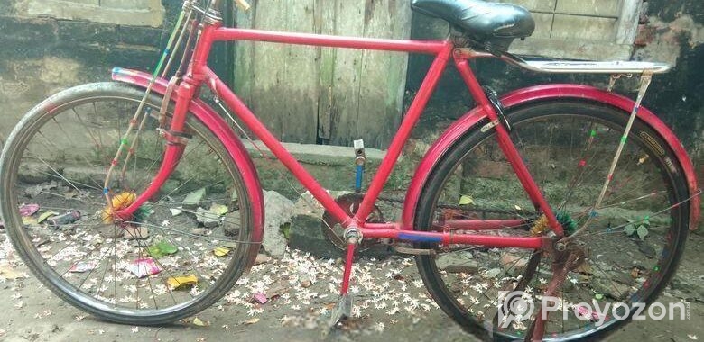 Bicycle for sale