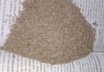 Camin Seeds