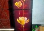 ফ্রিজ