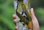 Samsung Galaxy S21 (Used)