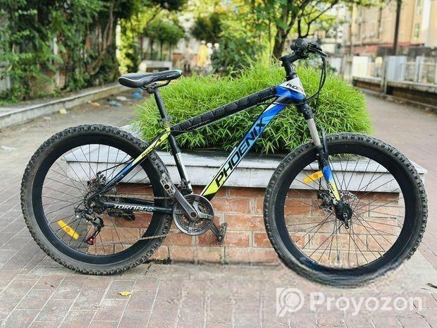 phoenix tornado cycle