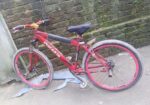 Duranta Bicycle for sale