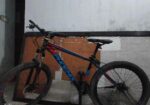 Phoenix Bicycle