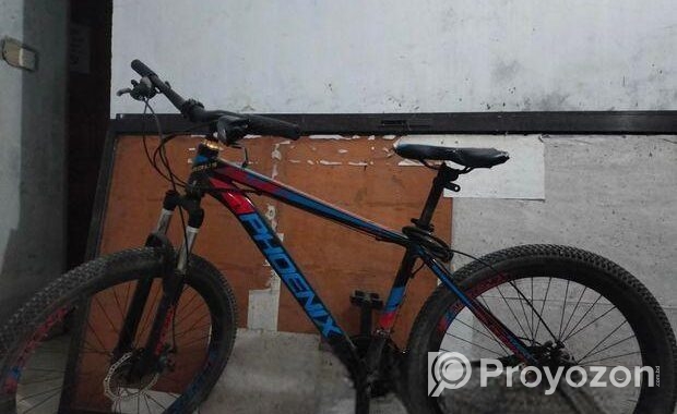Phoenix Bicycle