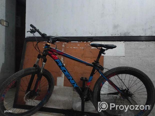 Phoenix Bicycle