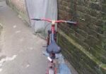 Duranta Bicycle for sale
