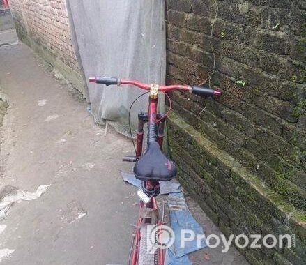 Duranta Bicycle for sale