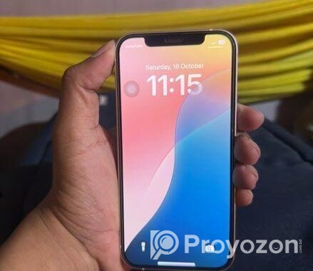 Apple iPhone 12 (Used)