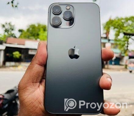 Apple iPhone 13 Pro Max . (Used)