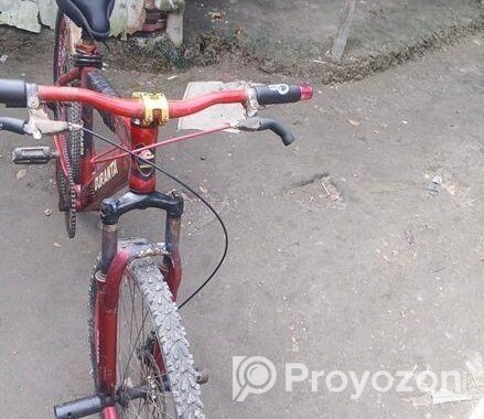 Duranta Bicycle for sale