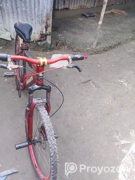 Duranta Bicycle for sale