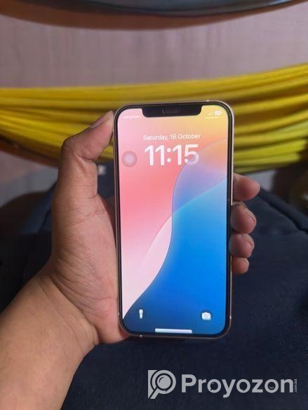 Apple iPhone 12 (Used)