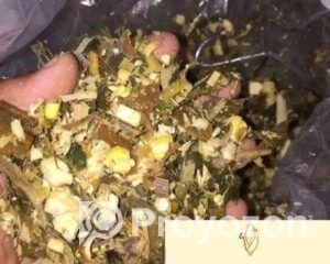 fitted-34_2025-10-22_11-10-45