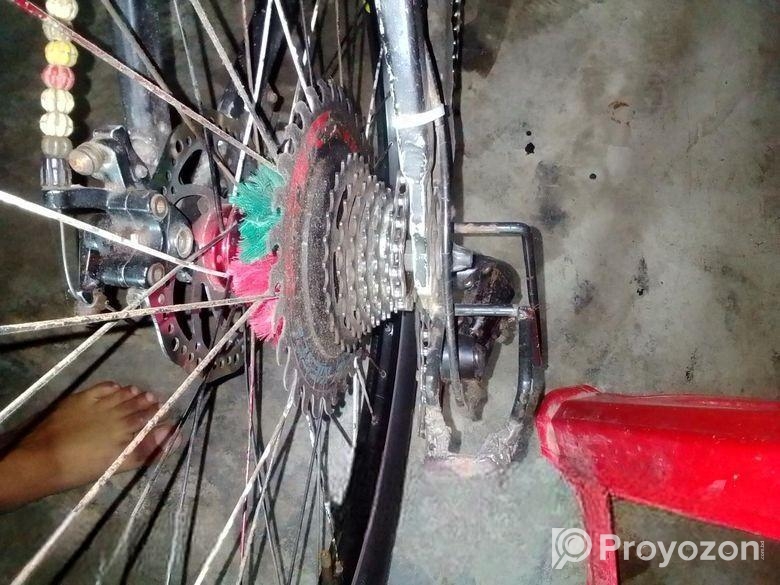 Bicycel sell