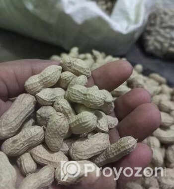 দেশি বাদাম