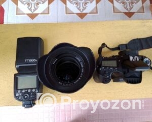 fitted-35_2025-10-04_10-24-52