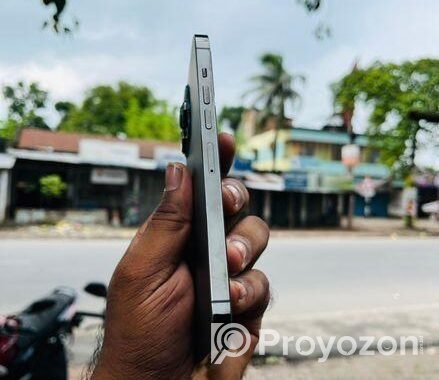 Apple iPhone 13 Pro Max . (Used)