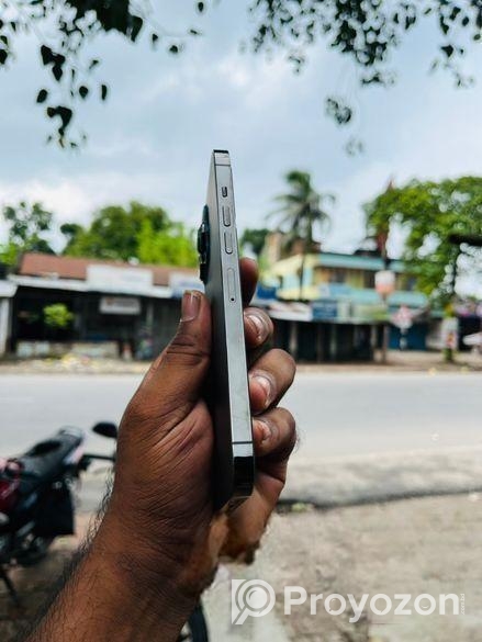 Apple iPhone 13 Pro Max . (Used)