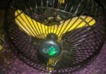 Fan for sale