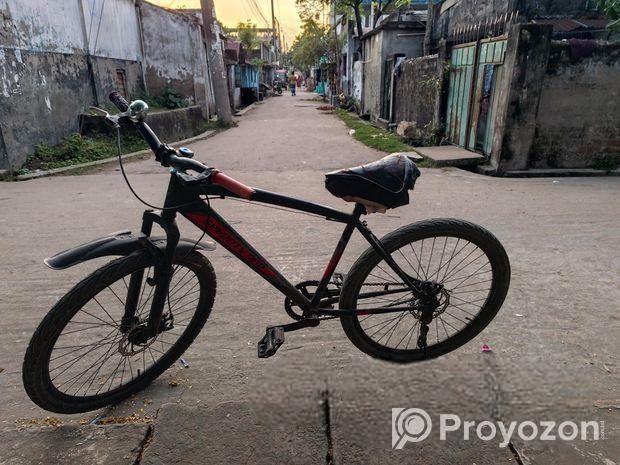 বাইসাইকেল