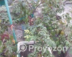 fitted-35_2025-10-30_18-23-42