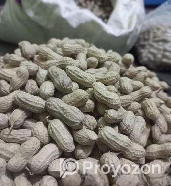 দেশি বাদাম
