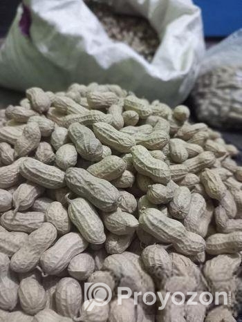 দেশি বাদাম