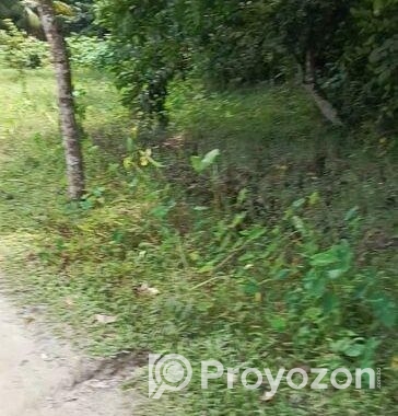 কিশোরগঞ্জ শহরে ৮ ফিট রাস্তার পাশে সুলভ মূল্যে বাড়ি নির্মাণের জমি