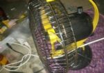 Fan for sale