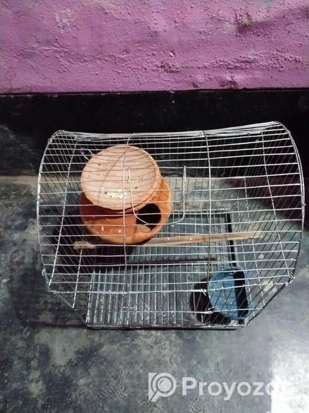 নতুন খাঁচা ফুল সেট আপ সেল হবে