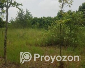 fitted-36_2025-10-21_17-12-52