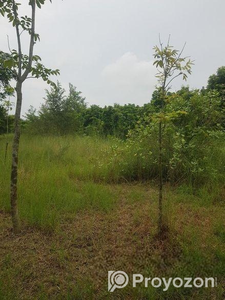 শেখ রাসেল সেনা নিবাস সংলগ্ন জাজিরা নাওডোবাতে ৩০ বিঘা জমি