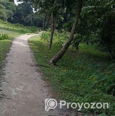 কিশোরগঞ্জ শহরে ৮ ফিট রাস্তার পাশে সুলভ মূল্যে বাড়ি নির্মাণের জমি