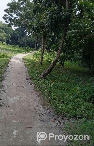 কিশোরগঞ্জ শহরে ৮ ফিট রাস্তার পাশে সুলভ মূল্যে বাড়ি নির্মাণের জমি