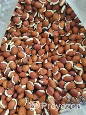 সিমের বীজ