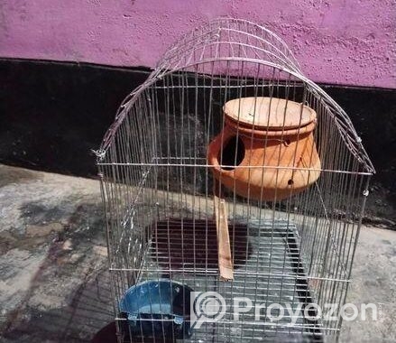 নতুন খাঁচা ফুল সেট আপ সেল হবে