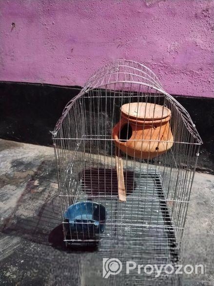 নতুন খাঁচা ফুল সেট আপ সেল হবে