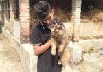 Cat sale