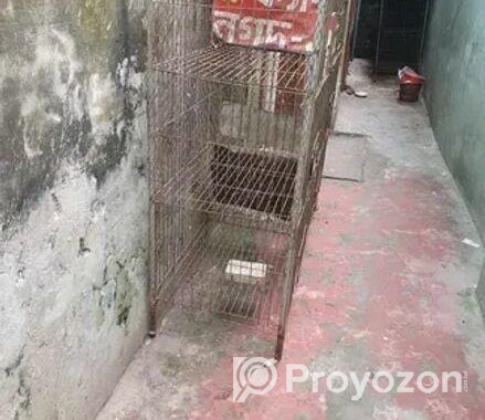 রানিং কবুতর প্রয়োজন