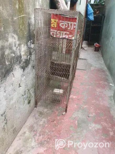 রানিং কবুতর প্রয়োজন