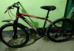 Phoenix Bicycle For Sale