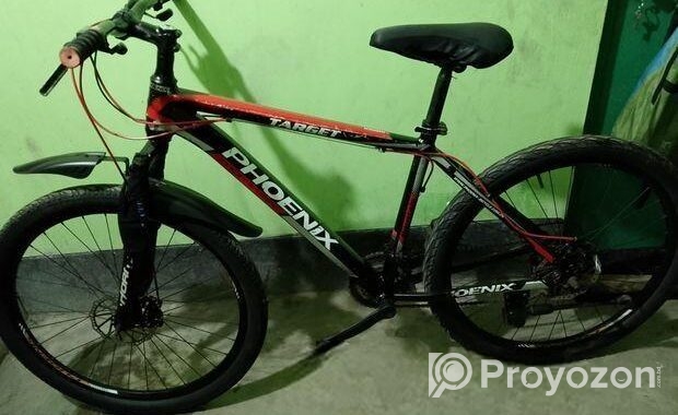 Phoenix Bicycle For Sale