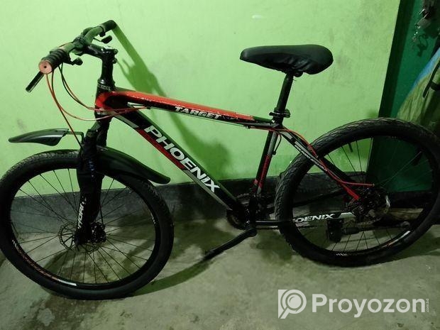 Phoenix Bicycle For Sale