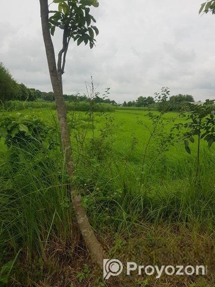 শেখ রাসেল সেনা নিবাস সংলগ্ন জাজিরা নাওডোবাতে ৩০ বিঘা জমি