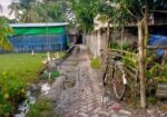 তিন কাঠা জমি, পানির ব্যবস্থা করা আছে, বিদ্যুতের আছে।