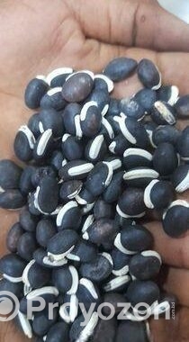সিমের বীজ
