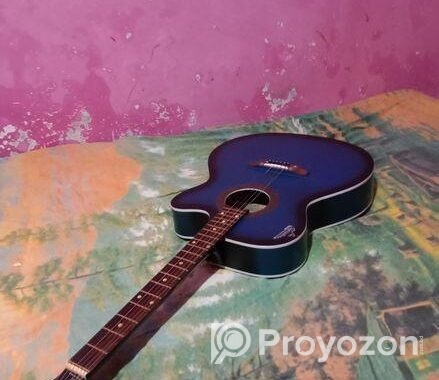 গিটারটি বিক্রি হবে অল্প কিছুদিন ব্যবহার করা ।