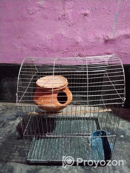 নতুন খাঁচা ফুল সেট আপ সেল হবে